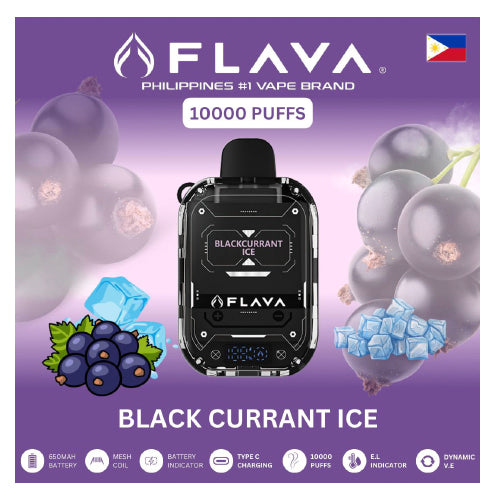 Flava Nimmbox 10K PUFFS Disposable